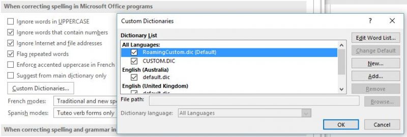 Screenshot of where to find the Custom Dictionary settings in Word